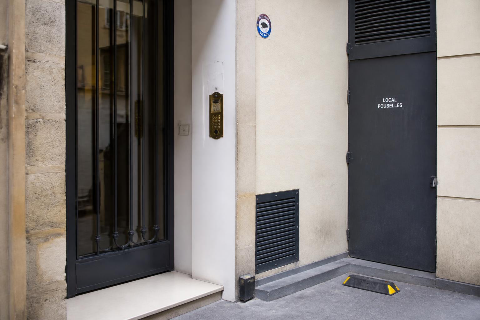 découvrez pourquoi il est essentiel de faire appel à un professionnel pour la dératisation en milieu urbain, afin d'assurer une élimination efficace et sécurisée des nuisibles.
