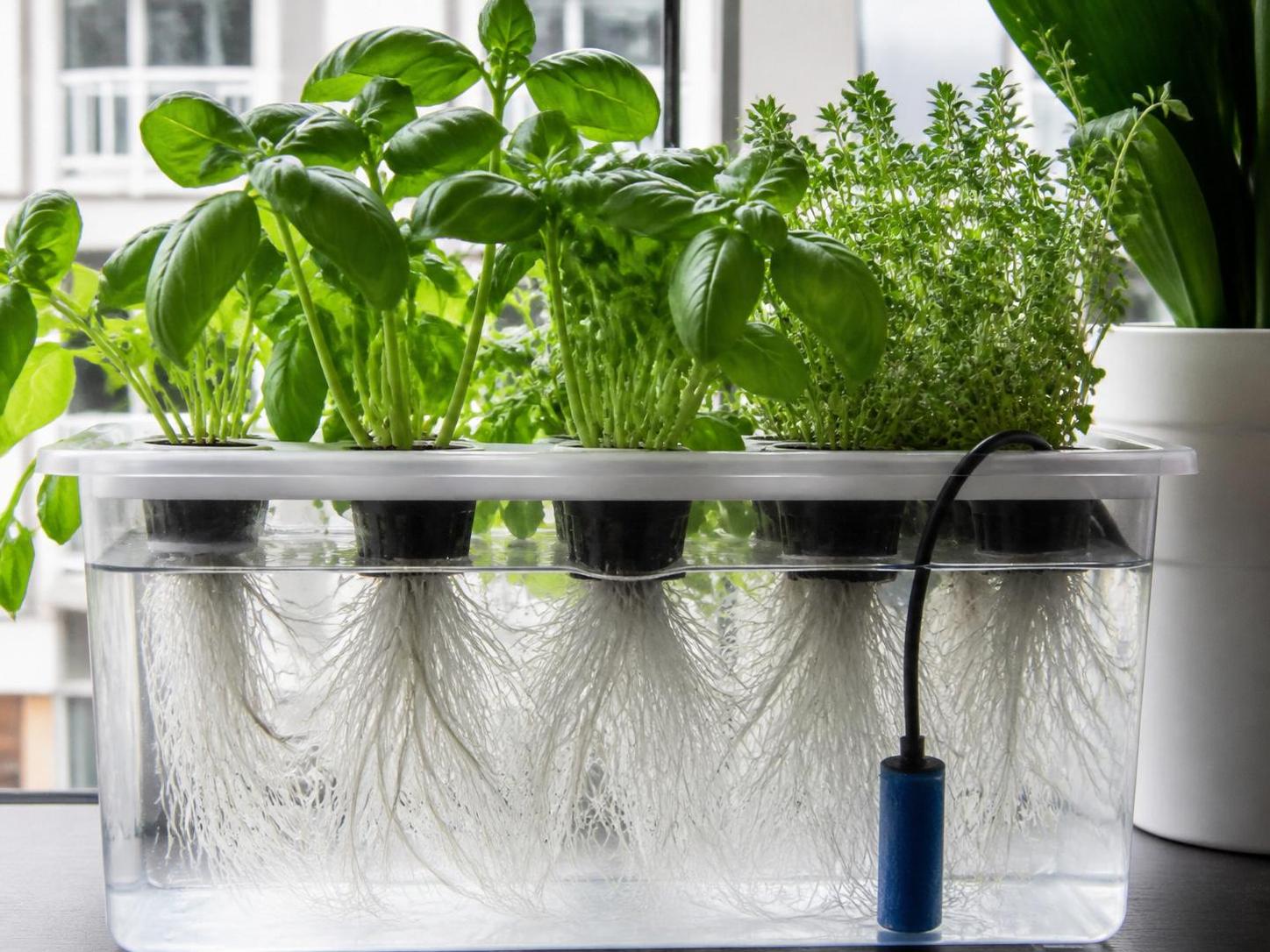 découvrez comment fabriquer un engrais hydroponique maison pour une agriculture hors-sol à domicile, avec des conseils sur la composition des solutions nutritives et les rendements possibles.