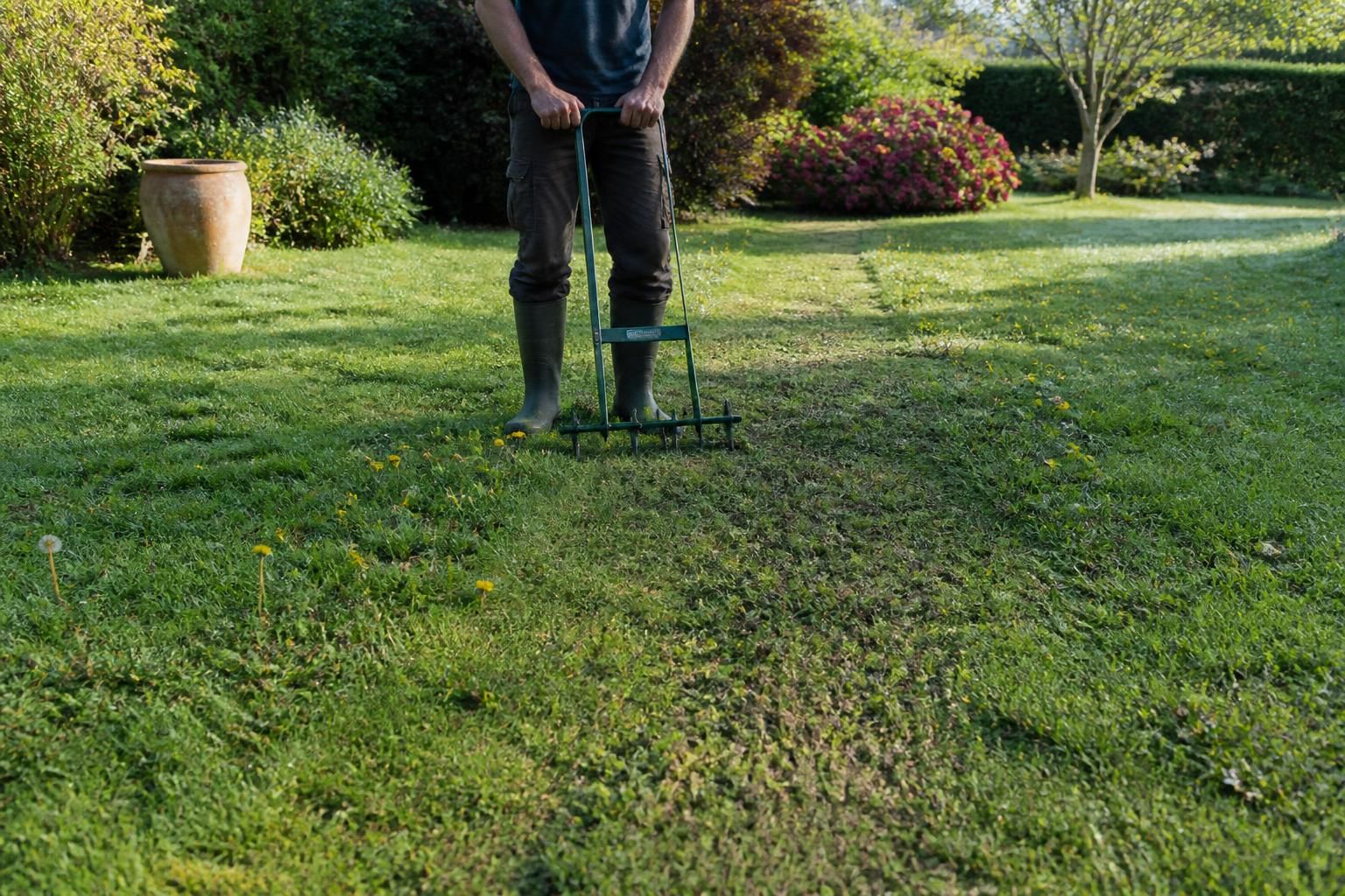 Plan de reprise : 5 étapes clés pour transformer une pelouse envahie de mauvaises herbes 2 découvrez les 5 étapes clés pour transformer votre pelouse envahie de mauvaises herbes en un gazon sain et verdoyant grâce à notre plan de reprise efficace.